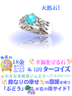 12���̒a���΃^�[�R�C�Y�̃x�r�[�����O(K18WG�z���C�g�S�[���h)