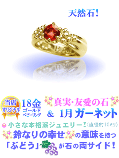 1���̒a���΃K�[�l�b�g�̃x�r�[�����O(18��YG�S�[���h)