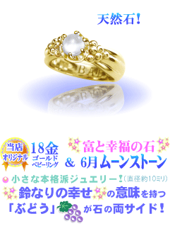 6���̒a���΃��[���X�g�[���̃x�r�[�����O(18��YG�S�[���h)