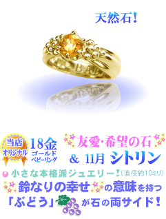 11���̒a���΃V�g�����̃x�r�[�����O(18��YG�S�[���h)