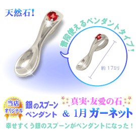 1���̒a���΃K�[�l�b�g�̋�̃X�v�[��,�V���o�[�X�v�[���y���_���g