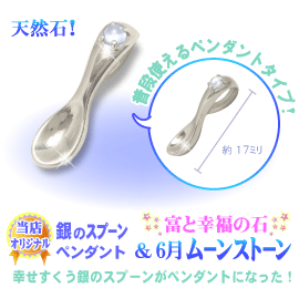 6���̒a���΃K�[�l�b�g�̋�̃X�v�[��,�V���o�[�X�v�[���y���_���g