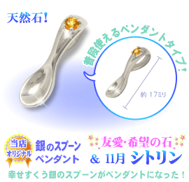 11���̒a���΃V�g�����̋�̃X�v�[��,�V���o�[�X�v�[���y���_���g